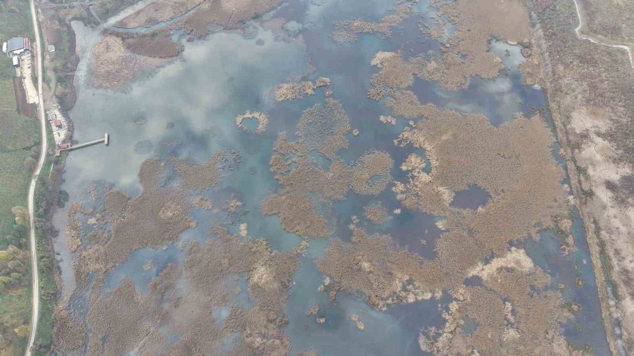 Efteni Gölü'nde Çevre Düzenleme Çalışmaları Devam Ediyor