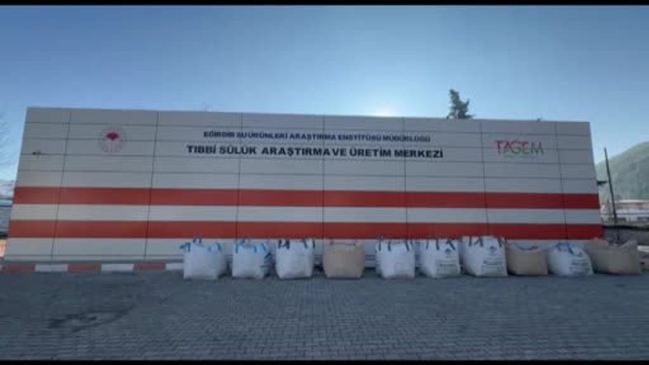 Eğirdir'de Tıbbi Sülük Üretimi: Besleme ve Araştırma Merkezinde Yılda 20 Bin Üretiyor