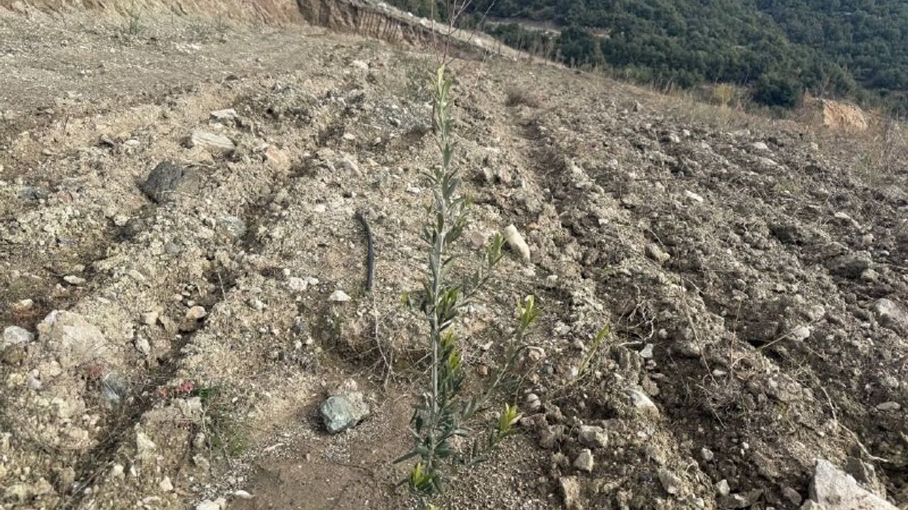 Eğirdir Gölü’ndeki Kuraklık ve Tarımda Dönüşüm