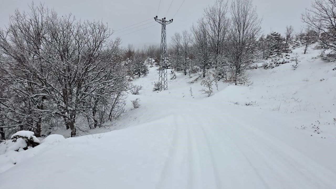 Elazığ’da Kar Yağışı 311 Köy Yolunu Kapattı