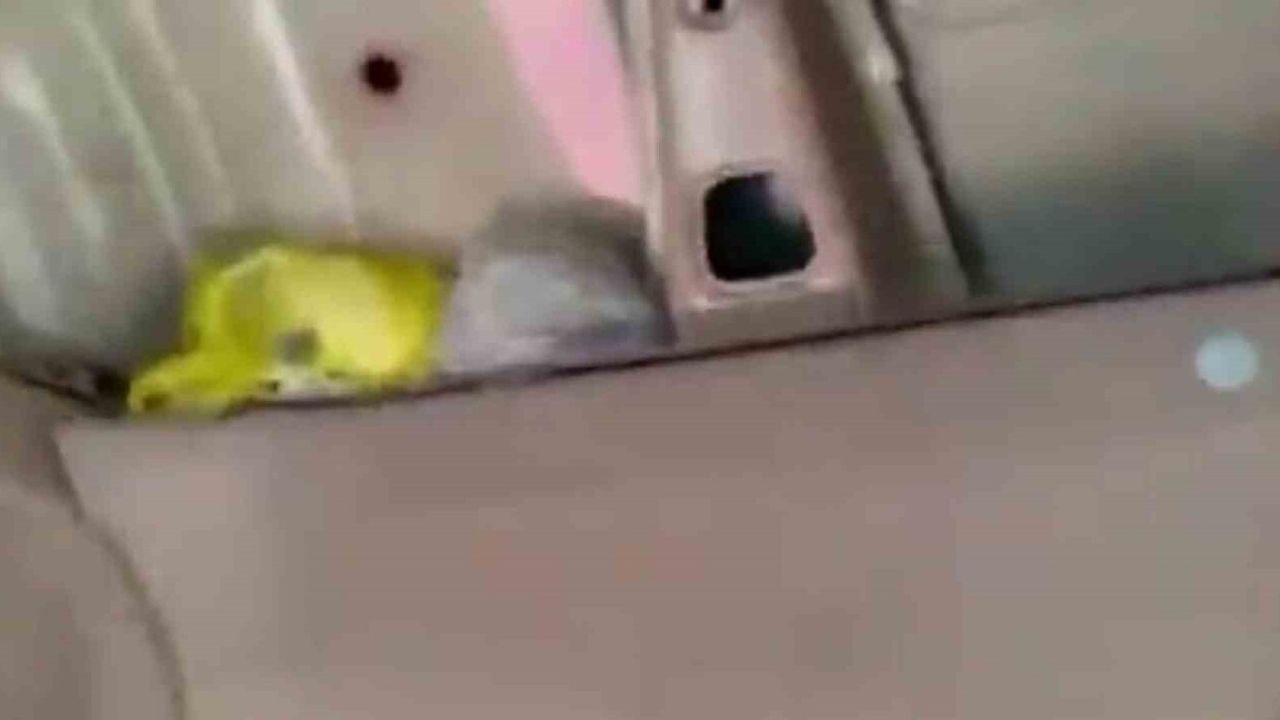 Elazığ'da Narkotik Operasyonu: 4 Şüpheli Tutuklandı