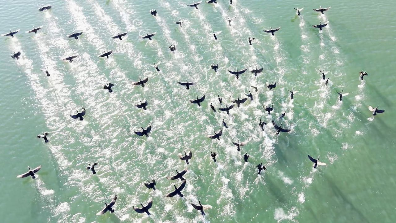 Elazığ'da Soğuk Hava ve Kara Bataklar