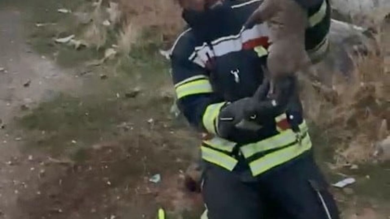 Elazığ'dan Yürek Isıtan Kurtarma Hikayesi