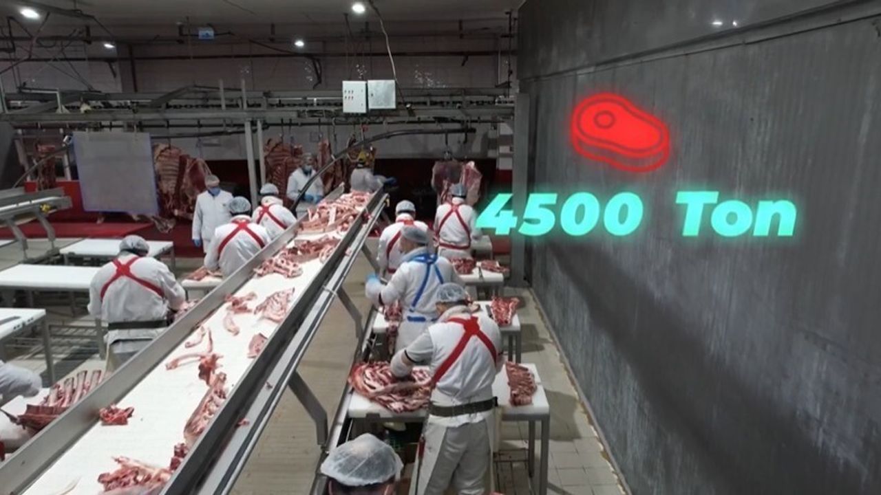 Elazığ Tarımında Yeni Dönem: 4 Bin 500 Ton Kırmızı Et Üretimi