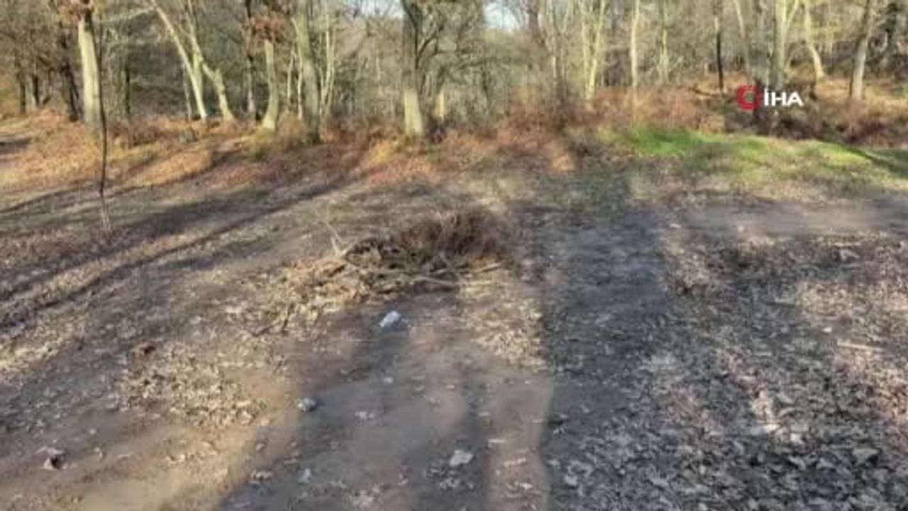 Elif Kumal İçin Arama Çalışmaları Devam Ediyor