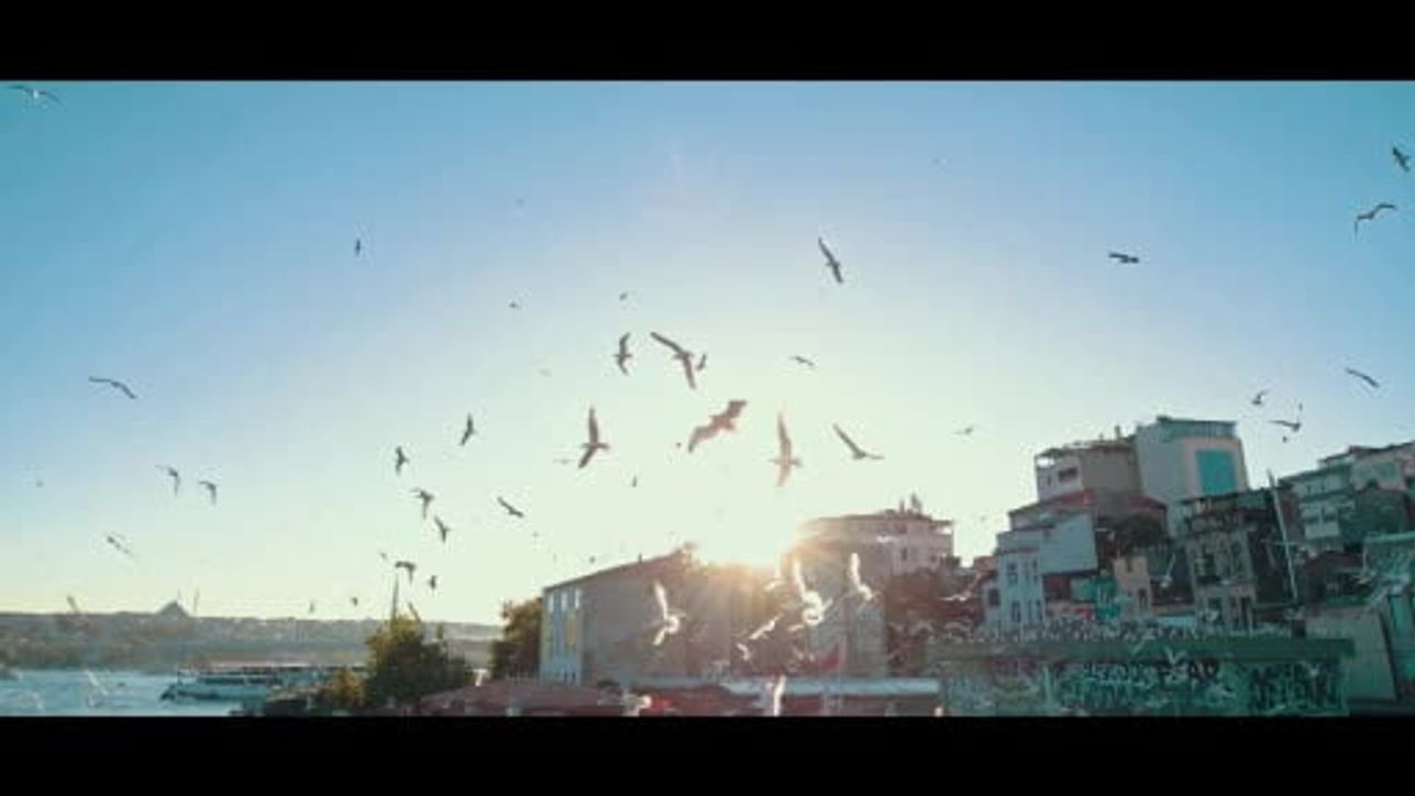 Emine Erdoğan'ın 2025'teki Sıfır Atık ve Gazze Faaliyetleri