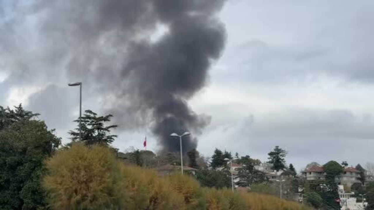 Emirgan'da Yangın: Dumanla Kaplı Gökyüzü