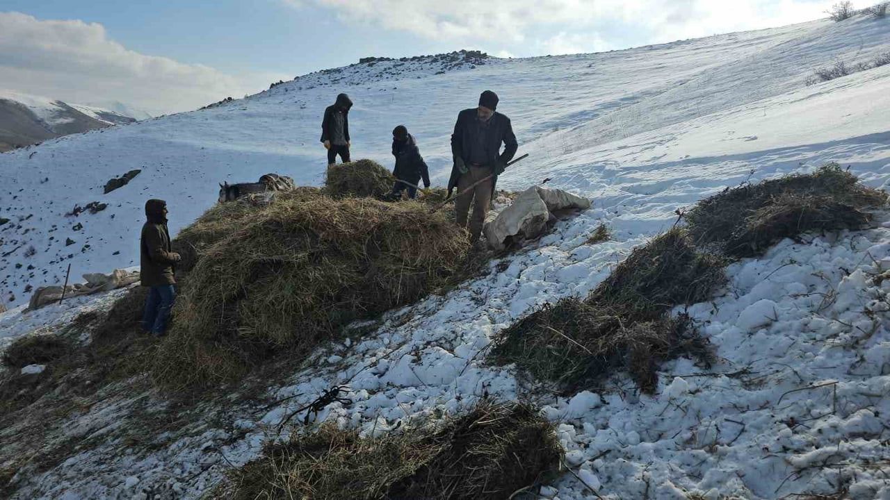 Erciş'te Kızaklarla Kışa Hazırlık