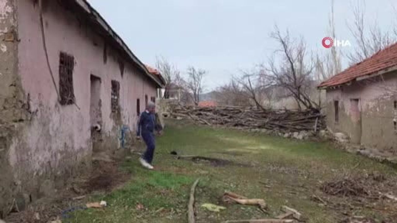 Erol Önal ve Koyunlarının Spor Yolculuğu