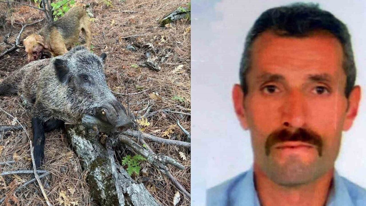 Erzincan'da Domuz Saldırısında Avcı Hayatını Kaybetti