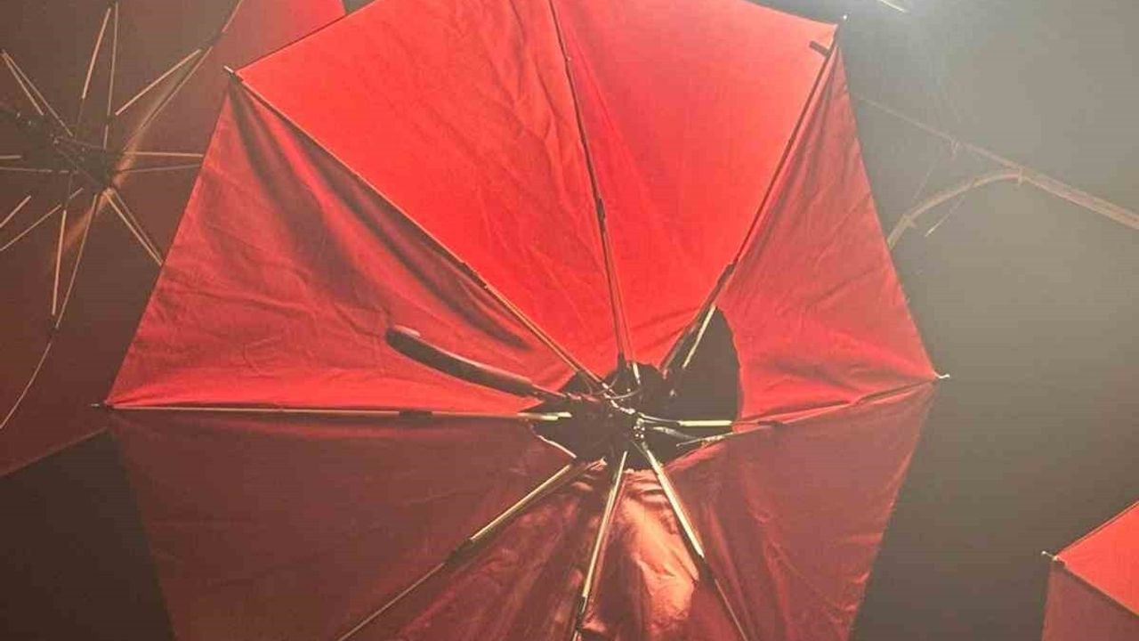 Erzincan'da Elektrik Kaçağı Yangına Neden Oldu