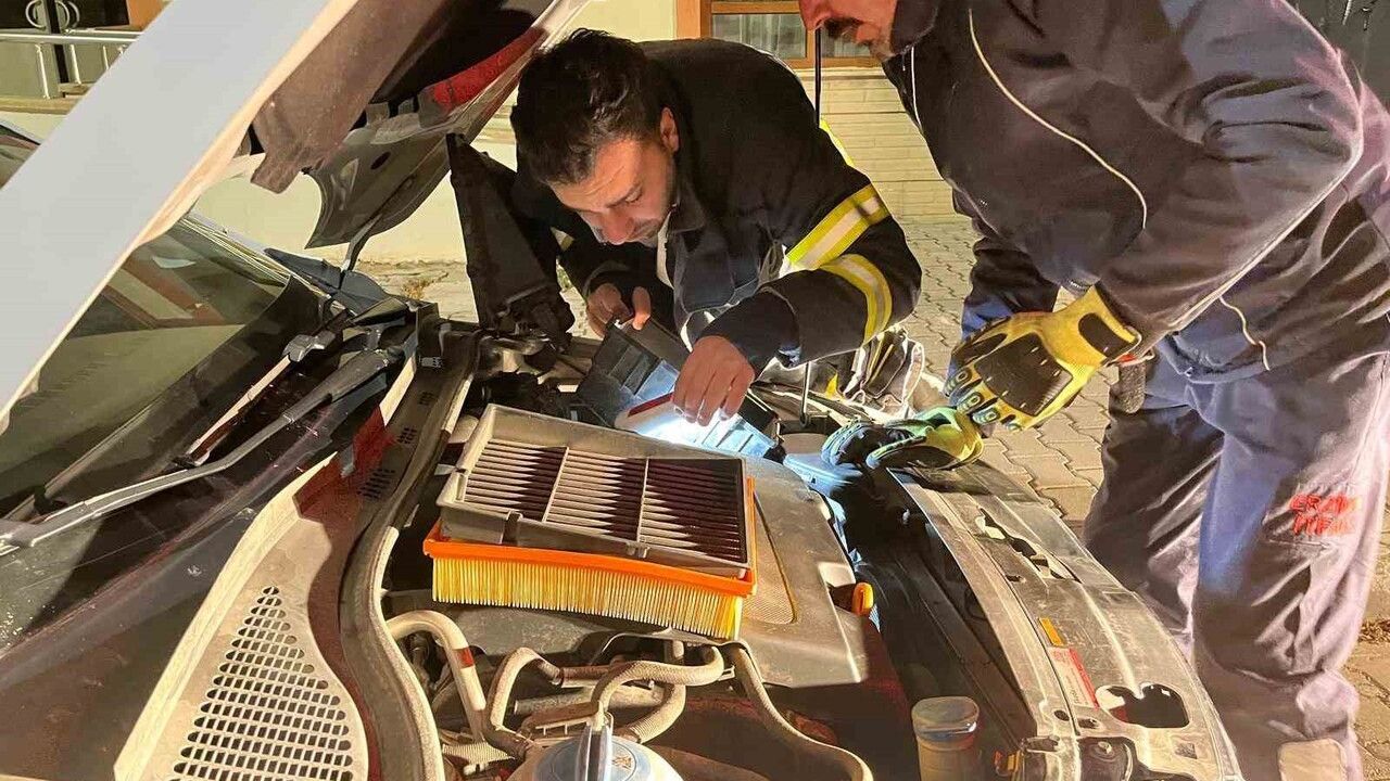 Erzincan'da İtfaiye Ekipleri Sıkışan Kediyi Kurtardı