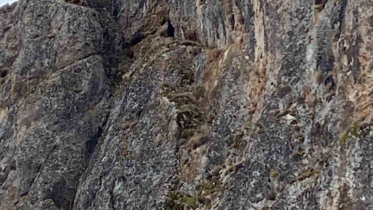 Erzincan'da Keçi Kurtarma Operasyonu: JAK ve AFAD Seferber Oldu