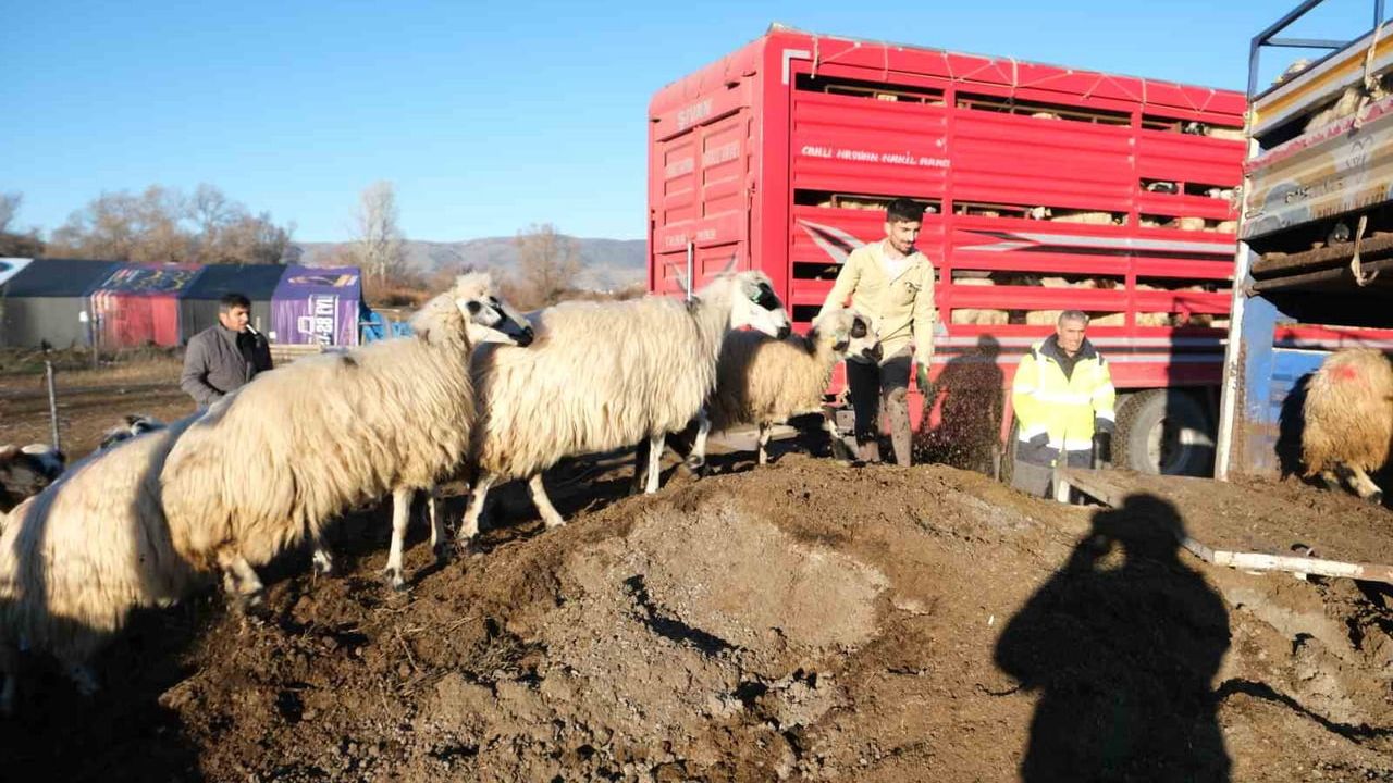 Erzincan'da Soğuk Havadan Dolayı Yayla Dönüşleri