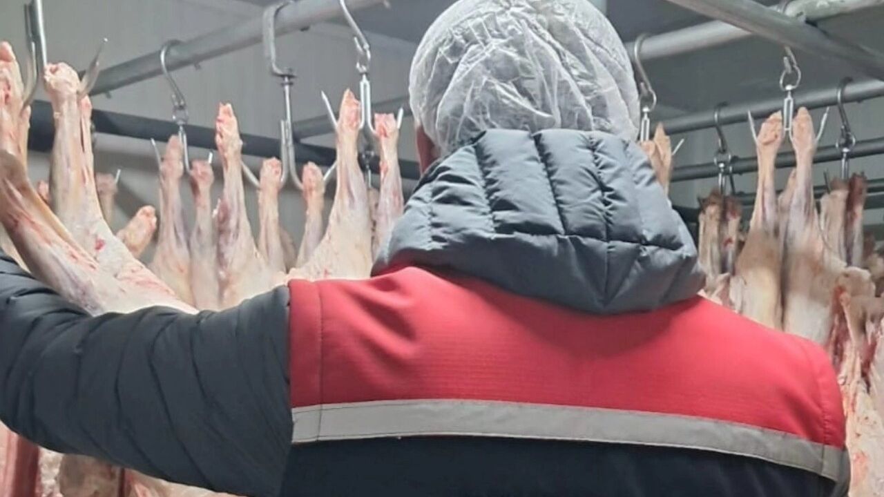 Erzurum’da Gıda Güvenliği Denetimleri