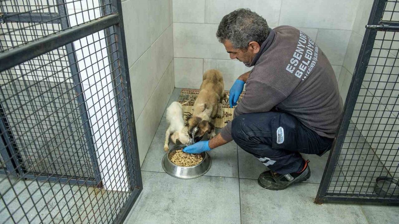 Esenyurt Belediyesi'nden Gıda İsrafını Önleyen Uygulama