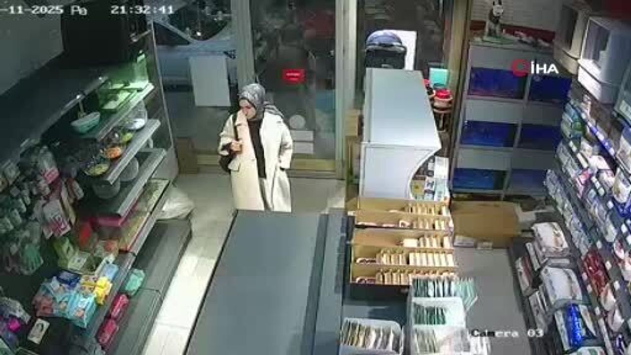 Esenyurt'ta Kedi Krizi: Kadın Pet Shop'a Kediyi Bıraktı mı?