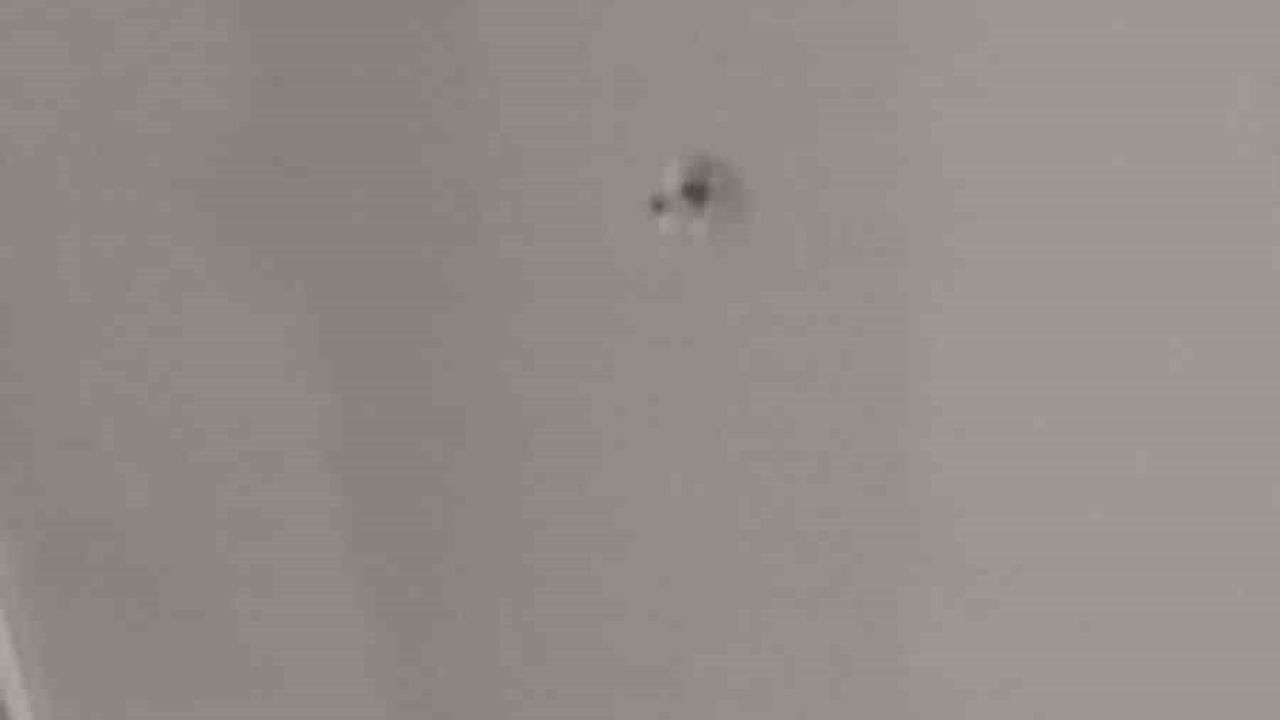 Esenyurt’ta Silahlı Paniğe Yol Açan Olay