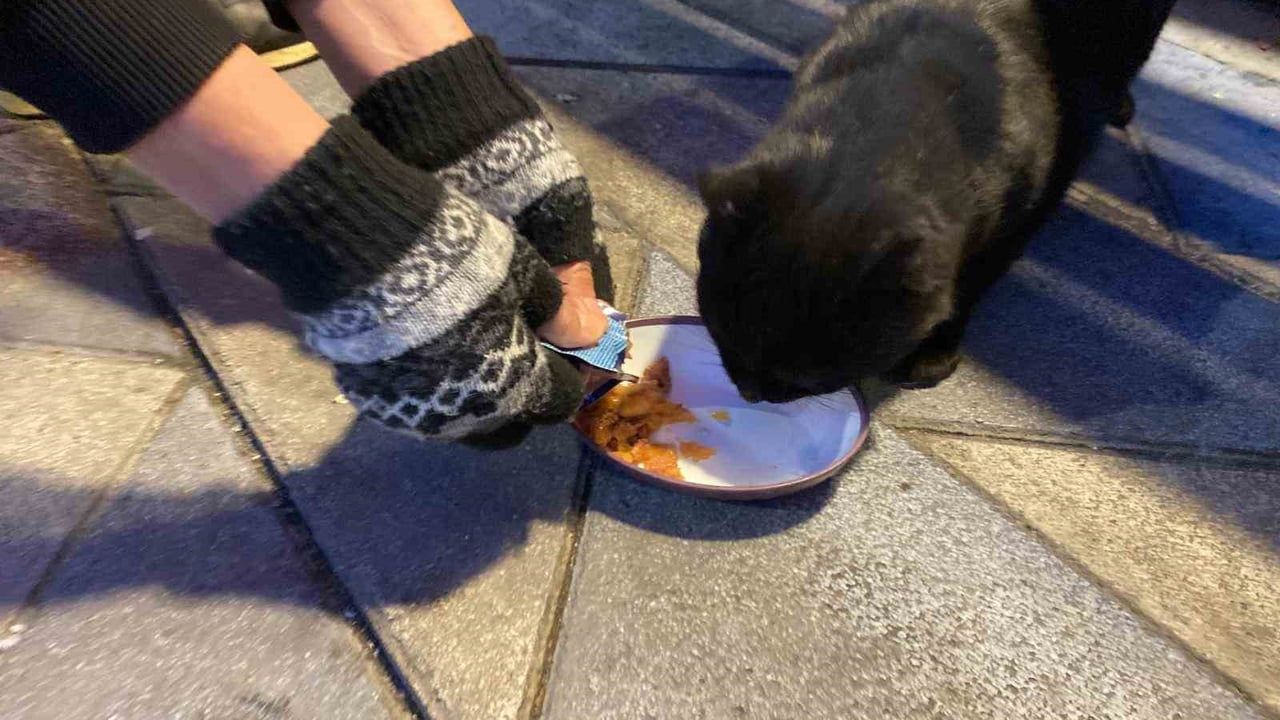 Eskişehir'de Taksi Durağından Hayvanseverlik Örneği