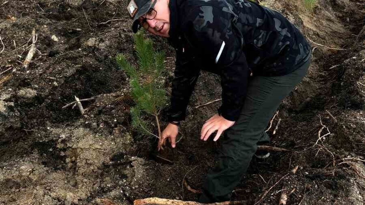 Eskişehir'de Yangın Mağduru Ormanlara Fidan Dikimi