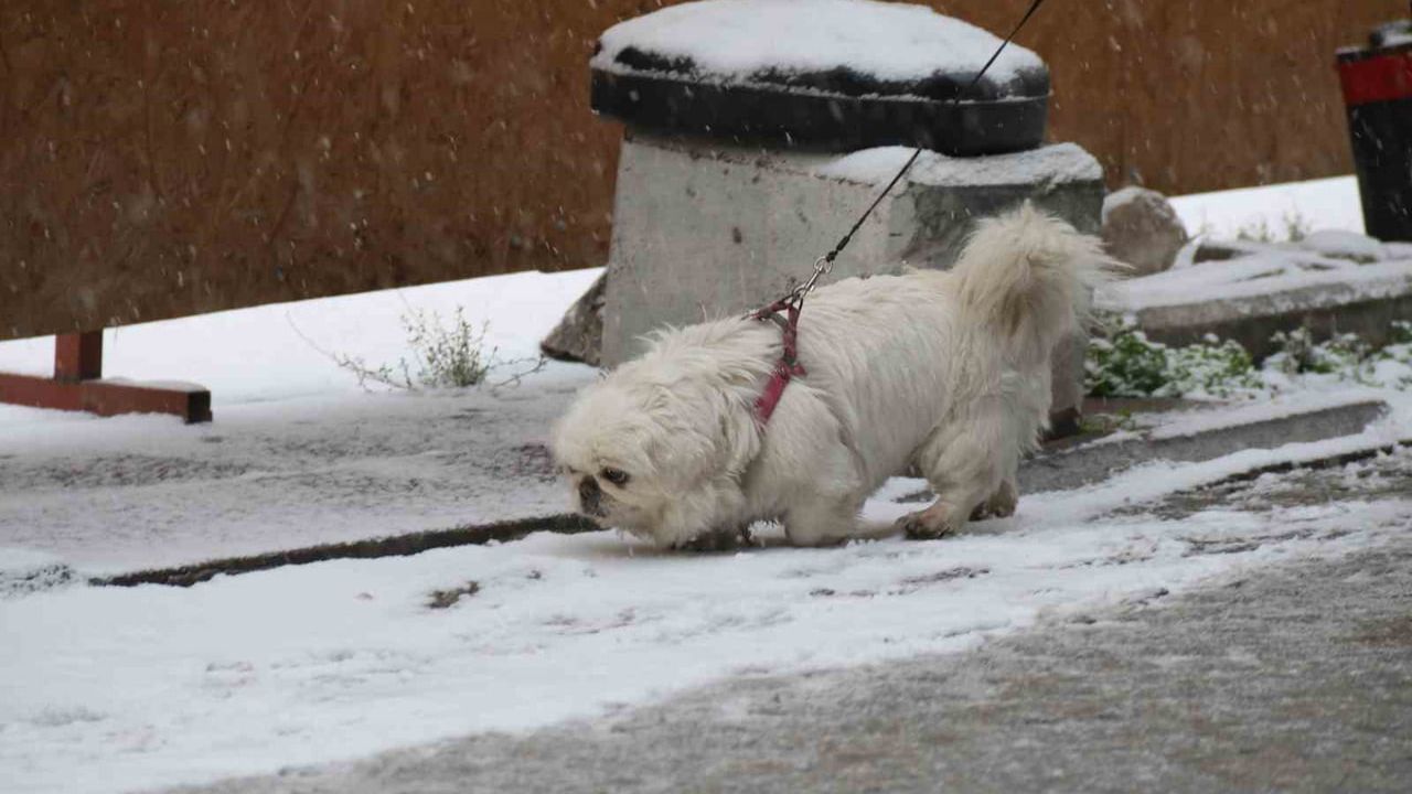 Eskişehir'de Yılın Son Karı Şehri Beyaza Bürüdü