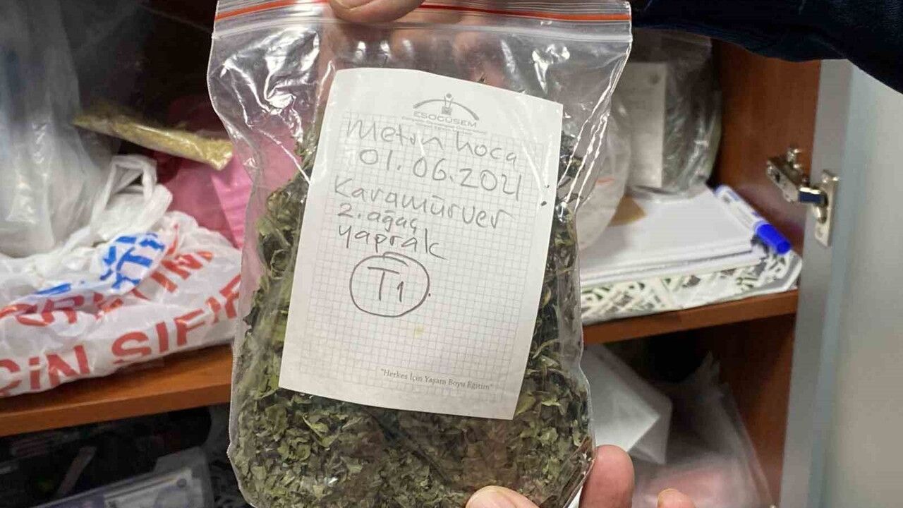 Eskişehir, Türkiye'nin Tıbbi Aromatik Bitkiler Merkezi Olma Yolunda