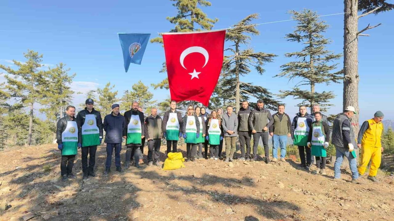 Feke’de 1 Ton Karpelli Sedir Tohumu Toprakla Buluştu