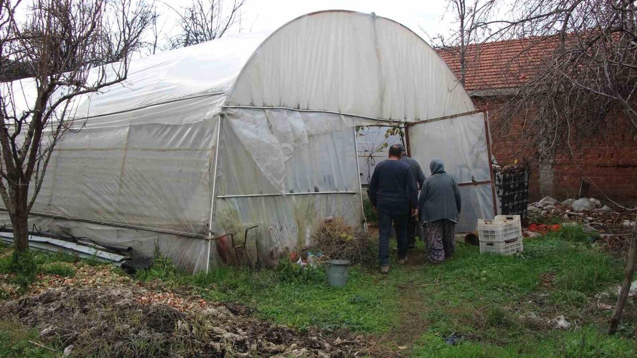 Feruziye Nine'nin Kışın Üzüm Yetiştiren Serası