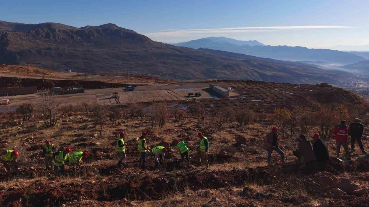 Gabar’da Büyük Ağaçlandırma Projesi Başlatıldı