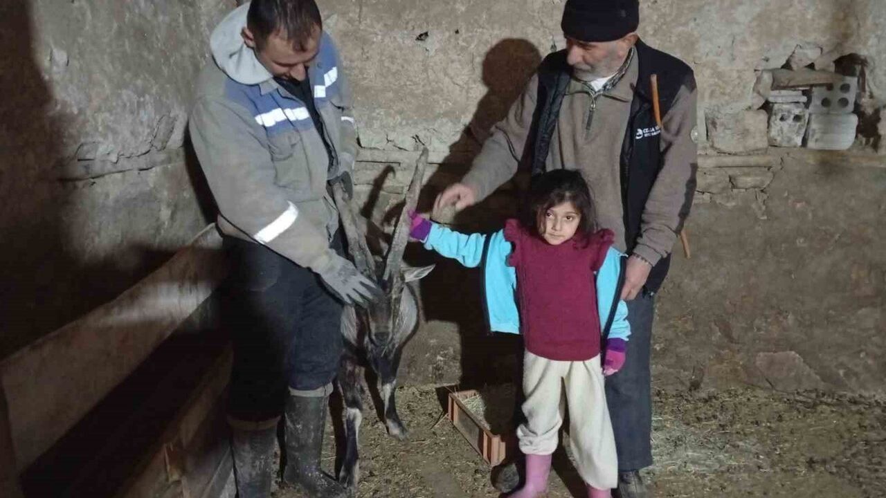Garip: Yaralı Dağ Keçisi Ailenin Maskotu Oldu