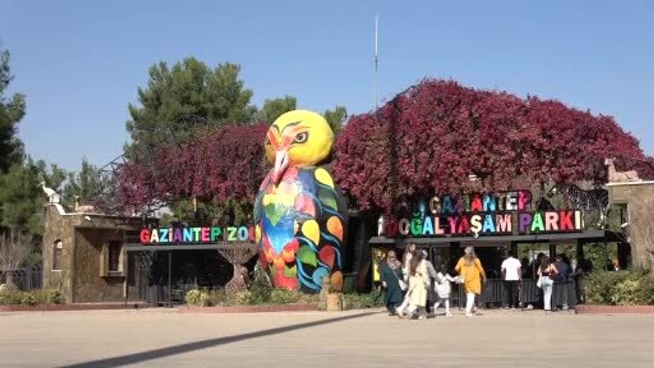 Gaziantep Doğal Yaşam Parkı'nın Maskotu Şakir Hayatını Kaybetti