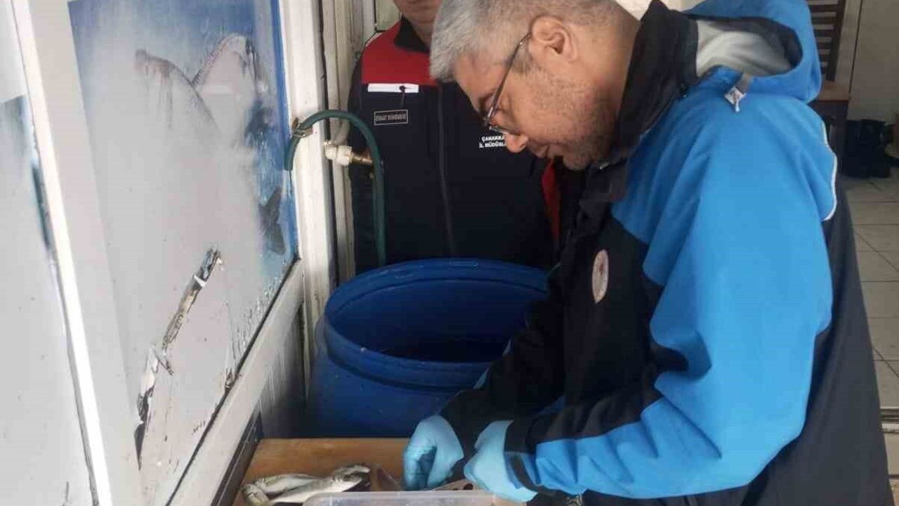 Gelibolu’da Sürdürülebilir Su Ürünleri Denetimi