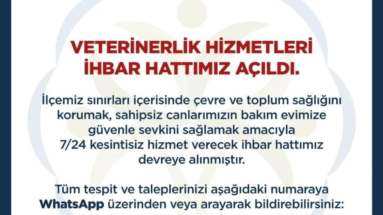 Germencik'te 7/24 Veterinerlik Hizmetleri İhbar Hattı Başlatıldı