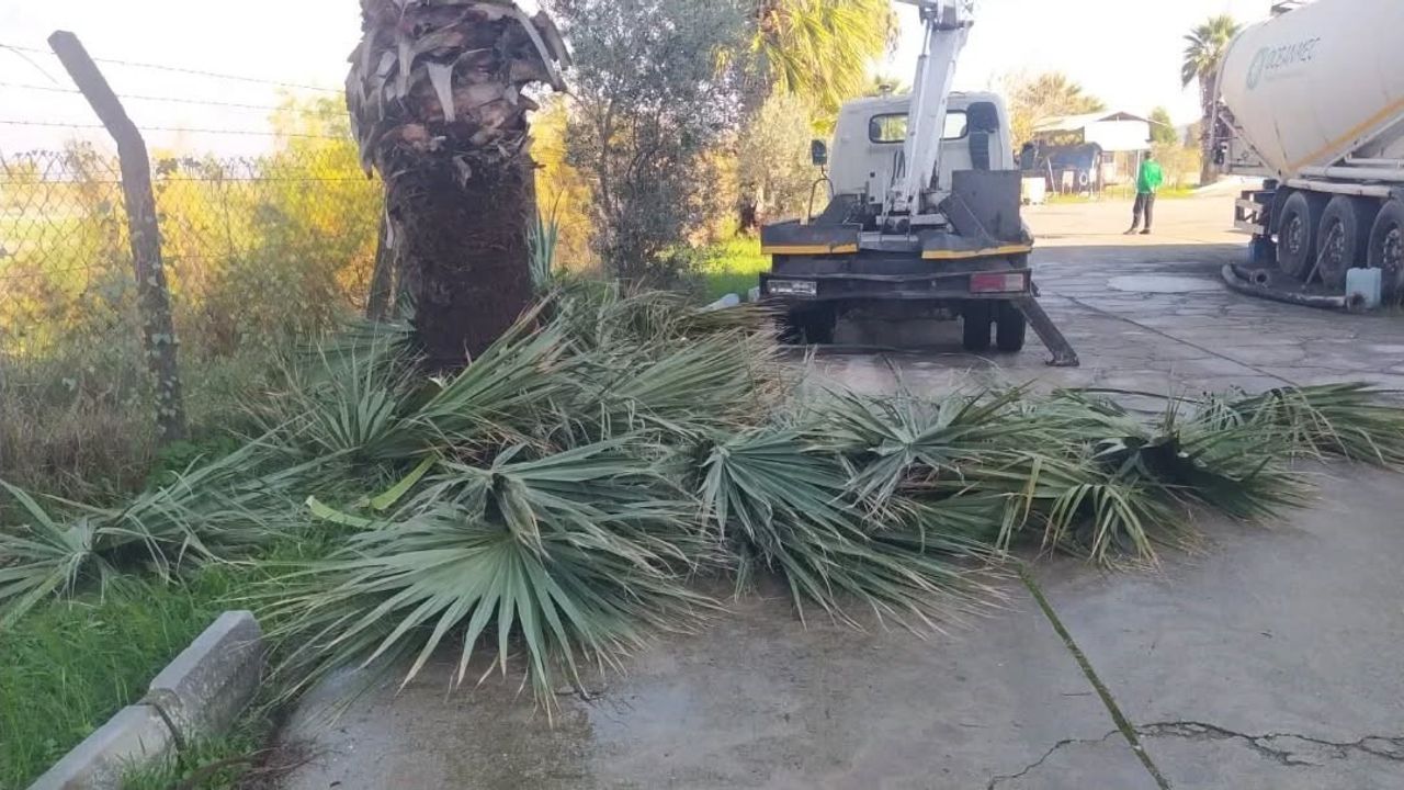 Germencik’te Temizlik Seferberliği