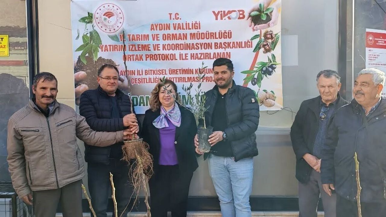 Germencik'te Üreticilere 4 Bin Adet Sertifikalı Fidan Desteği