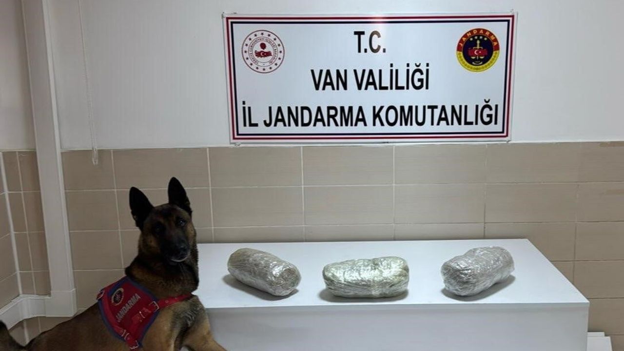 Gevaş'ta Jandarmadan Başarılı Operasyon: 3 Kilo Esrar Yakalandı