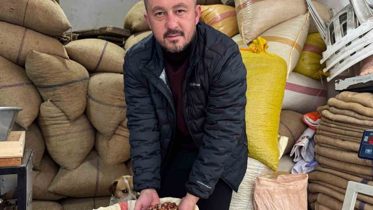 Giresun'da Fındık Fiyatları Yükseliyor