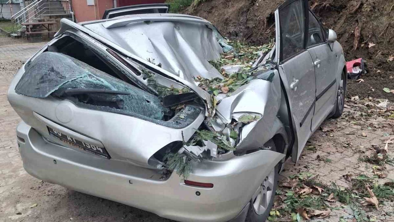 Giresun'da Fırtına Ağaç Devirerek Araç Hasarına Yol Açtı