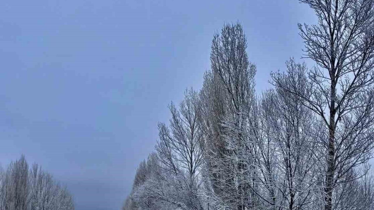 Gökçedere'de Büyüleyici Kar Manzarası