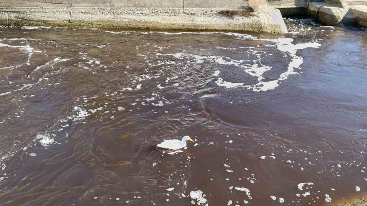 Göksu Nehri'nde Renk Değişimi: Yeniden Siyah Aktı