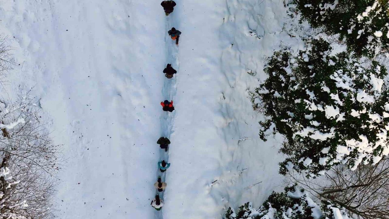 Gümüşhane'de Doğa Yürüyüşü: Torul Zirvelerinde Buluşma