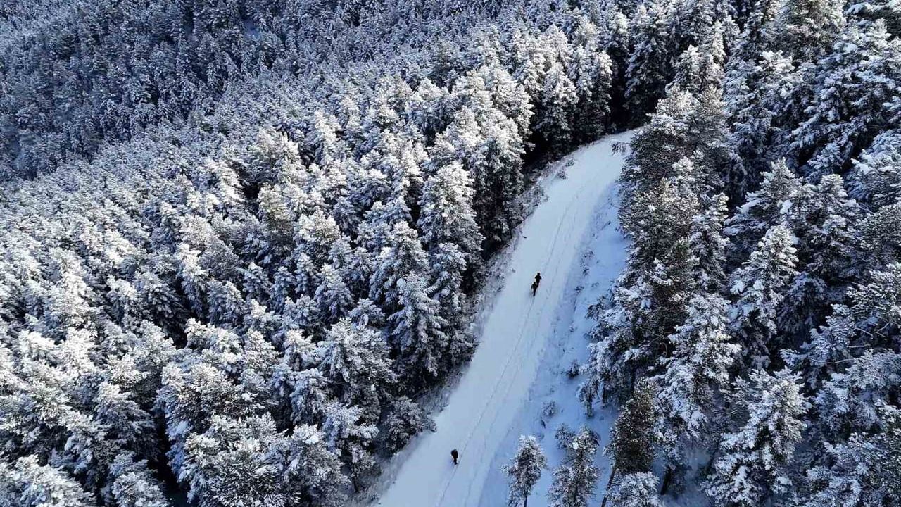 Gümüşhane'de Kış Masalı: Doğayla Buluşma