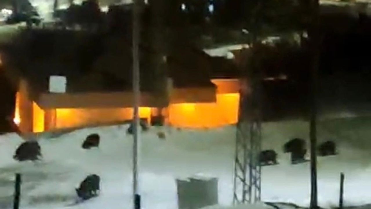 Hacılar'da Domuz Sürüsü İlçe Merkezine İndi