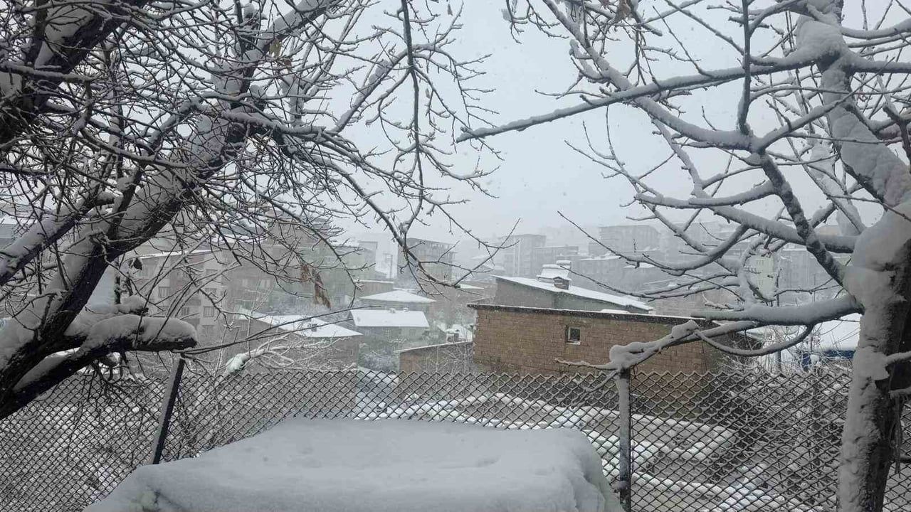 Hakkari'de Kar Yağışı ve Fırtına Hayatı Zorluyor