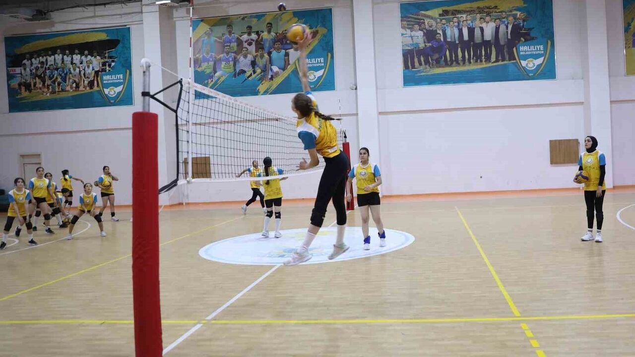 Haliliye'de Gençler İçin Spor Kursları