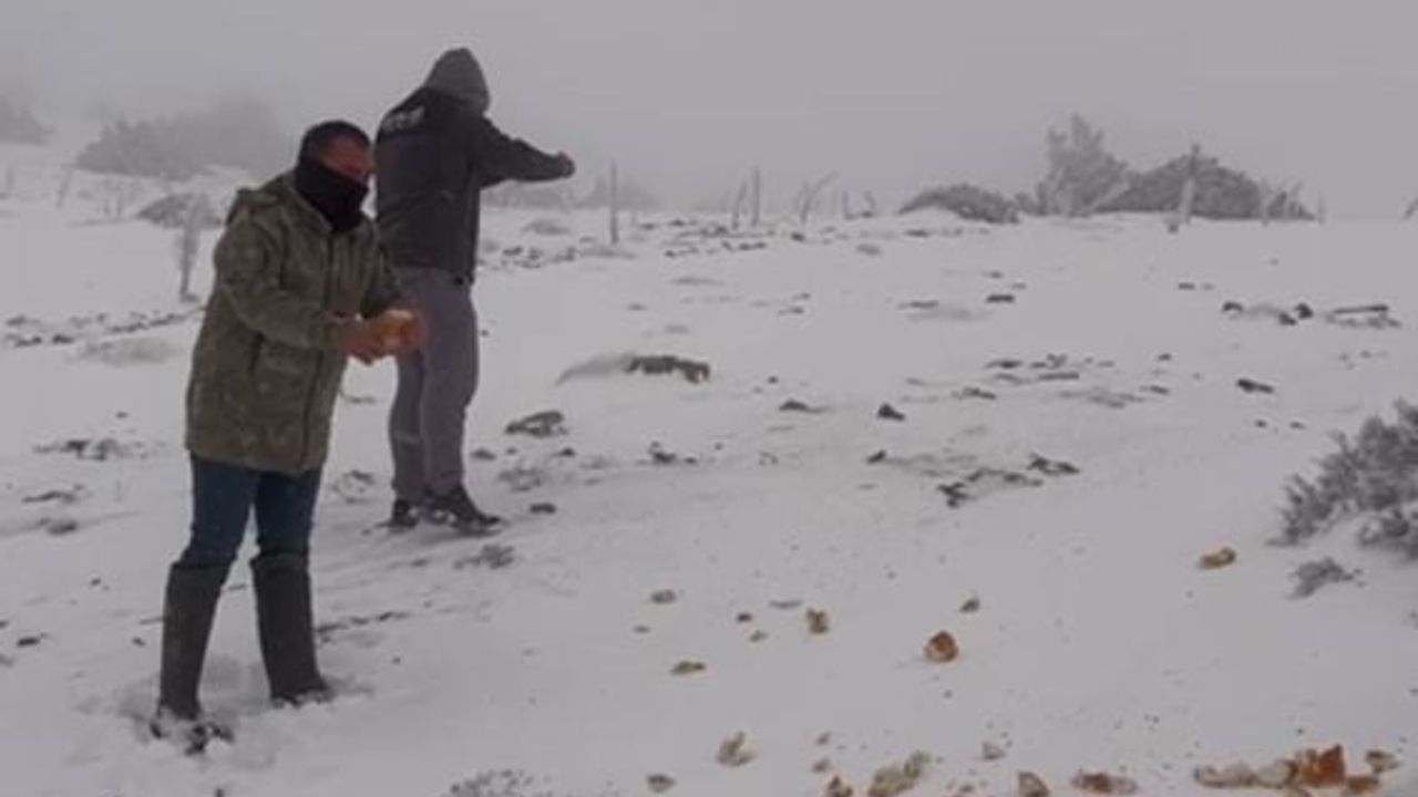 Halkapınar'da Yoğun Kar Yağışı Etkisini Gösterdi