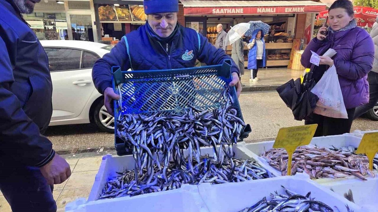 Hamsi Fiyatları Yükseliyor, İlgi Artıyor