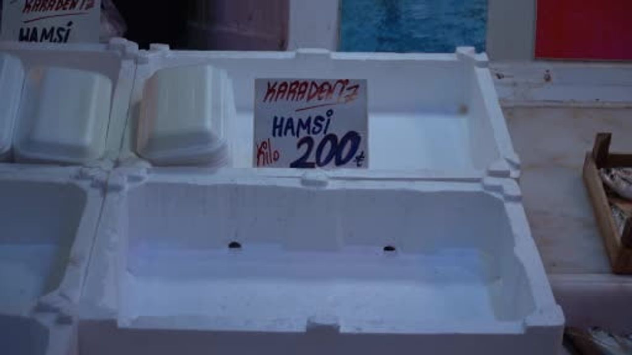 Hamsi Yerini İstavrite Bırakıyor