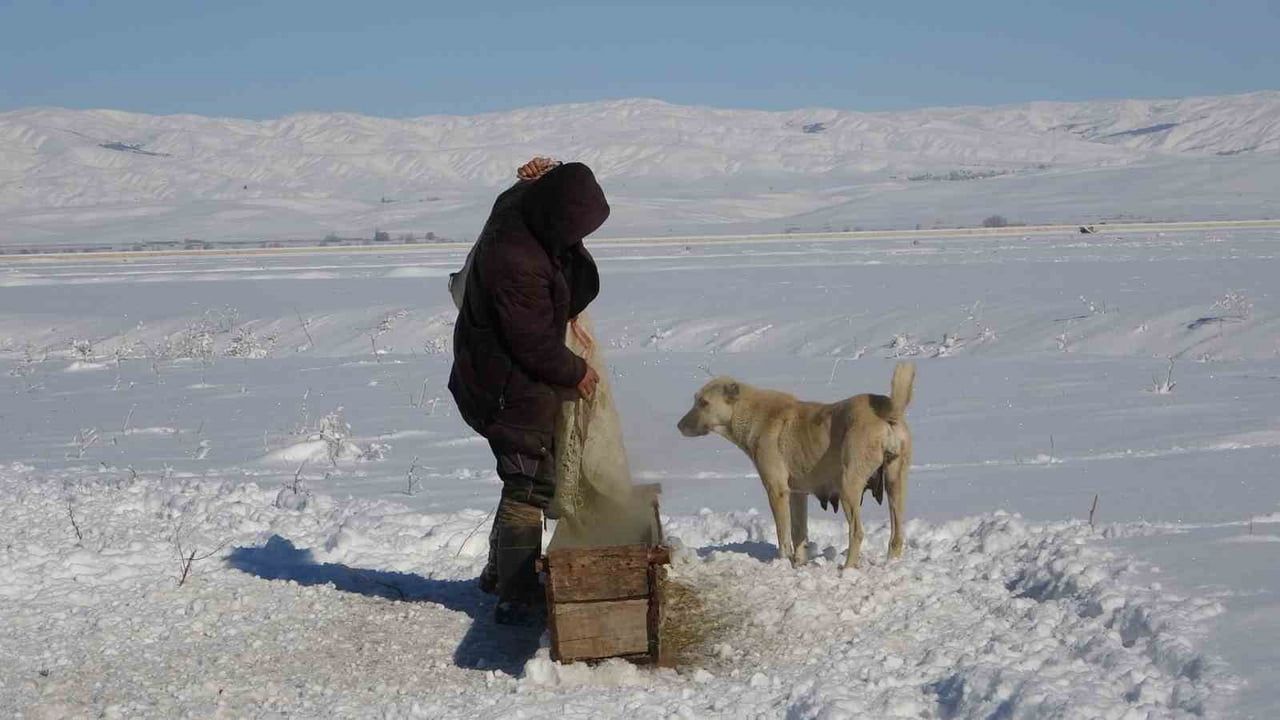 Hasköy'deki Besicilerin Kış Zorlukları