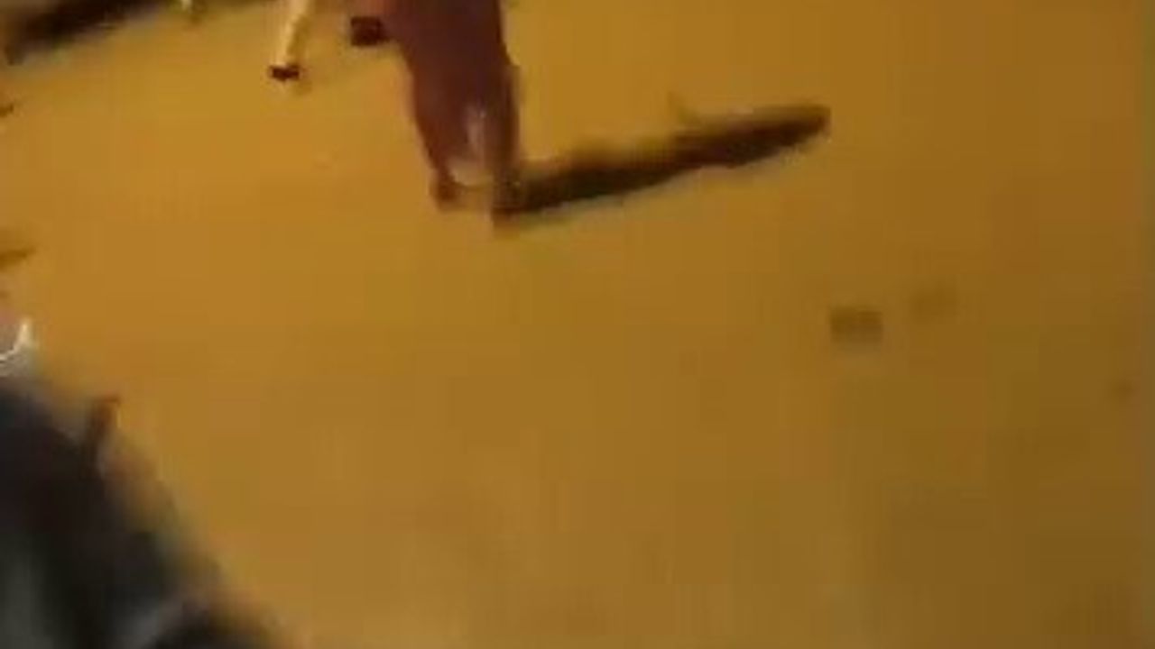 Hatay'da Aileler Arasında Kanlı Kavga: 1 Ölü, 6 Yaralı